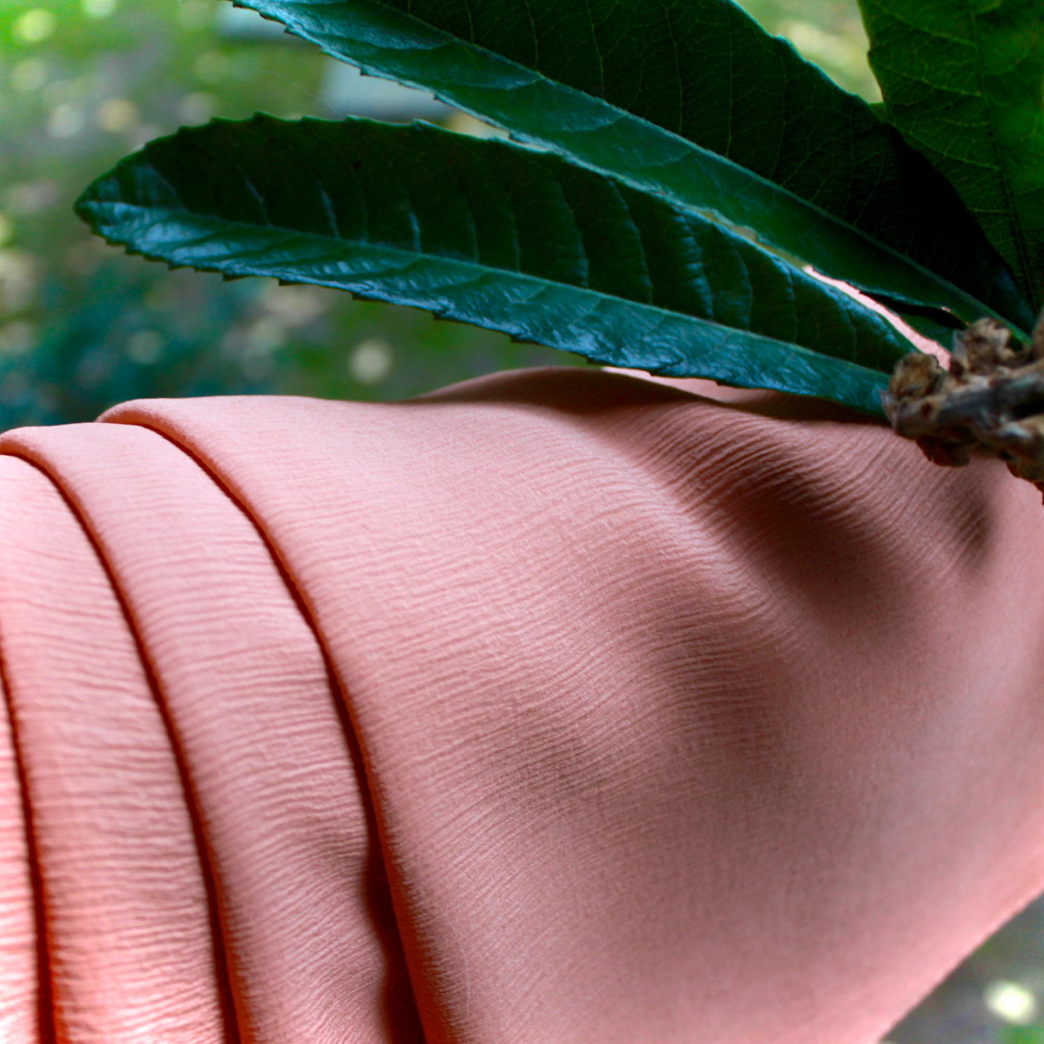 ビワの葉染　自然光撮影